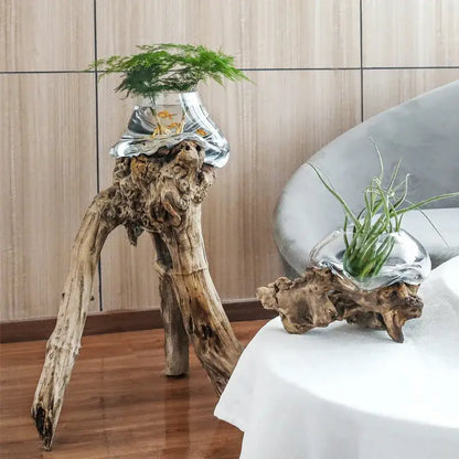 Modern glass bonsai vase hydroponic fishbowl living room decor