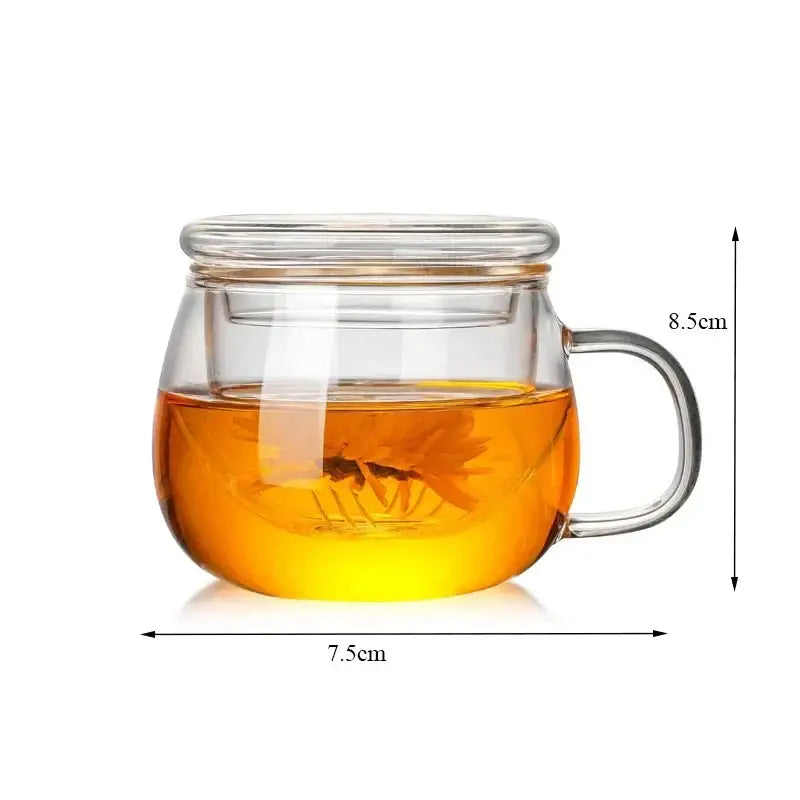 Modern glass tea cup with infuser and lid – kitchen drinkware