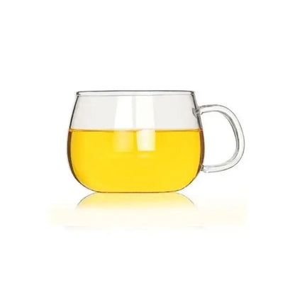 Modern glass tea cup with infuser and lid – kitchen drinkware