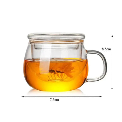 Modern glass tea cup with infuser and lid – kitchen drinkware