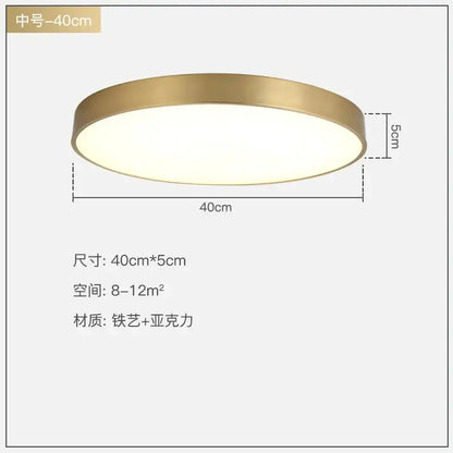 Modern gold acrylic led ceiling light for living room