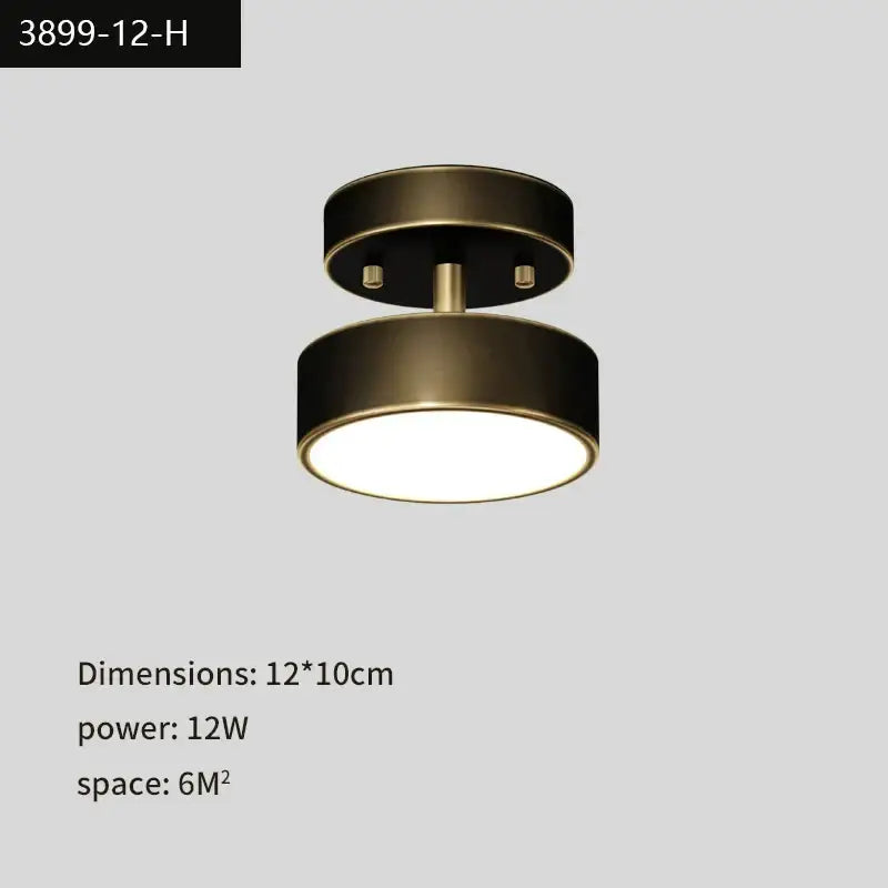 Modern gold black copper led ceiling light living room spotlight
