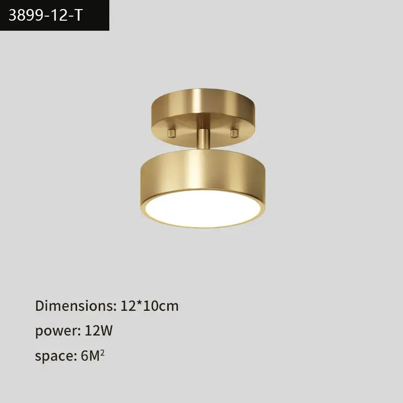 Modern gold black copper led ceiling light living room spotlight