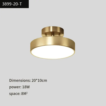 Modern gold black copper led ceiling light living room spotlight