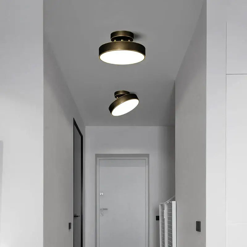 Modern gold black copper led ceiling light living room spotlight