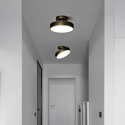 Modern gold black copper led ceiling light living room spotlight