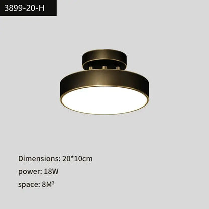 Modern gold black copper led ceiling light living room spotlight