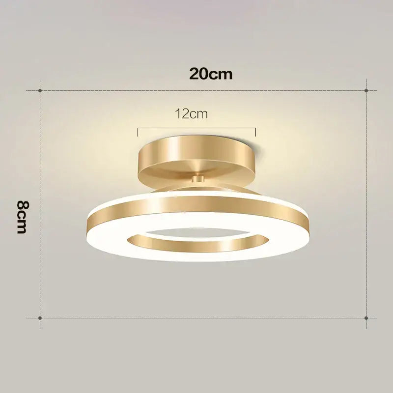 Modern gold circular led ceiling lamp for living room