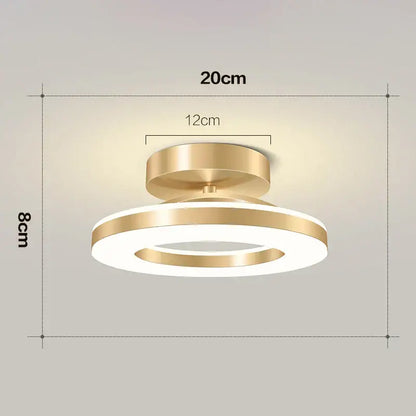 Modern gold circular led ceiling lamp for living room