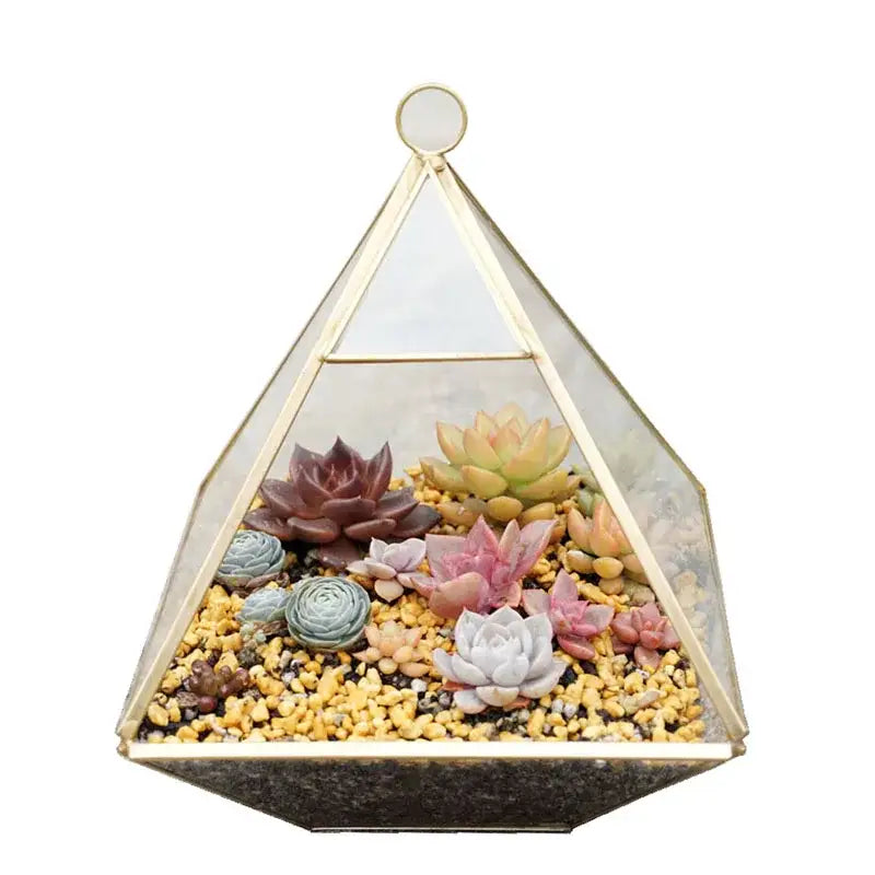 Modern gold geometric glass vase living room hanging terrarium