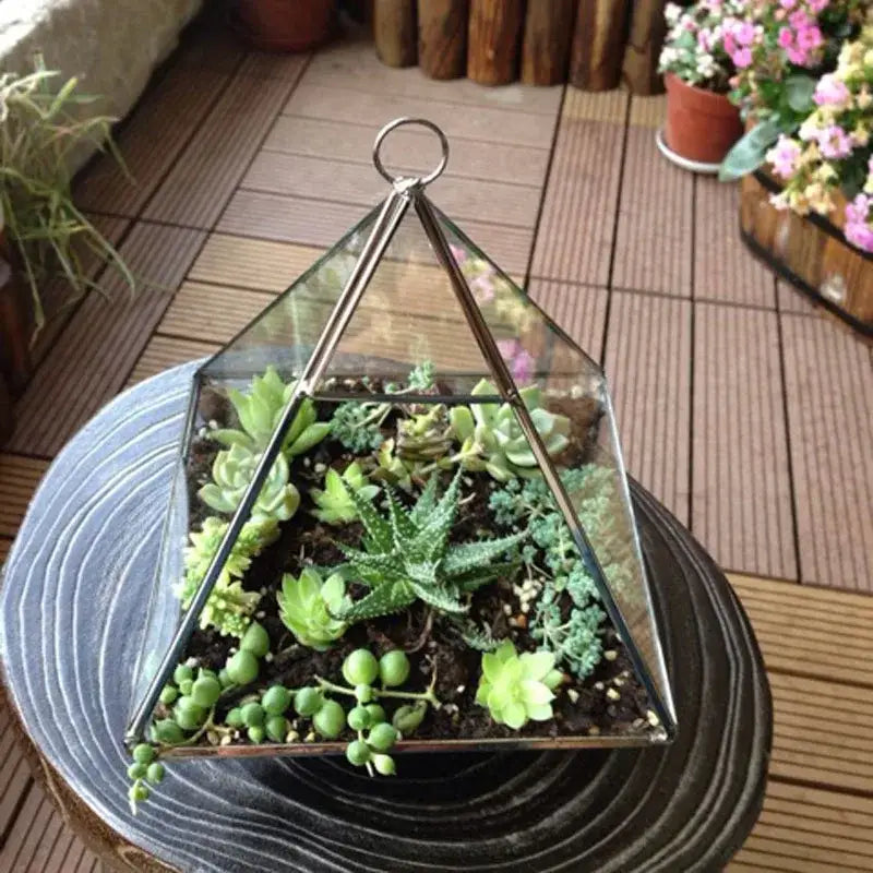 Modern gold geometric glass vase living room hanging terrarium