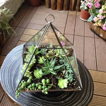 Modern gold geometric glass vase living room hanging terrarium