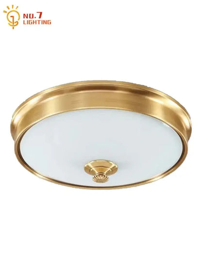 Modern gold lustre copper ceiling lamp living room led light
