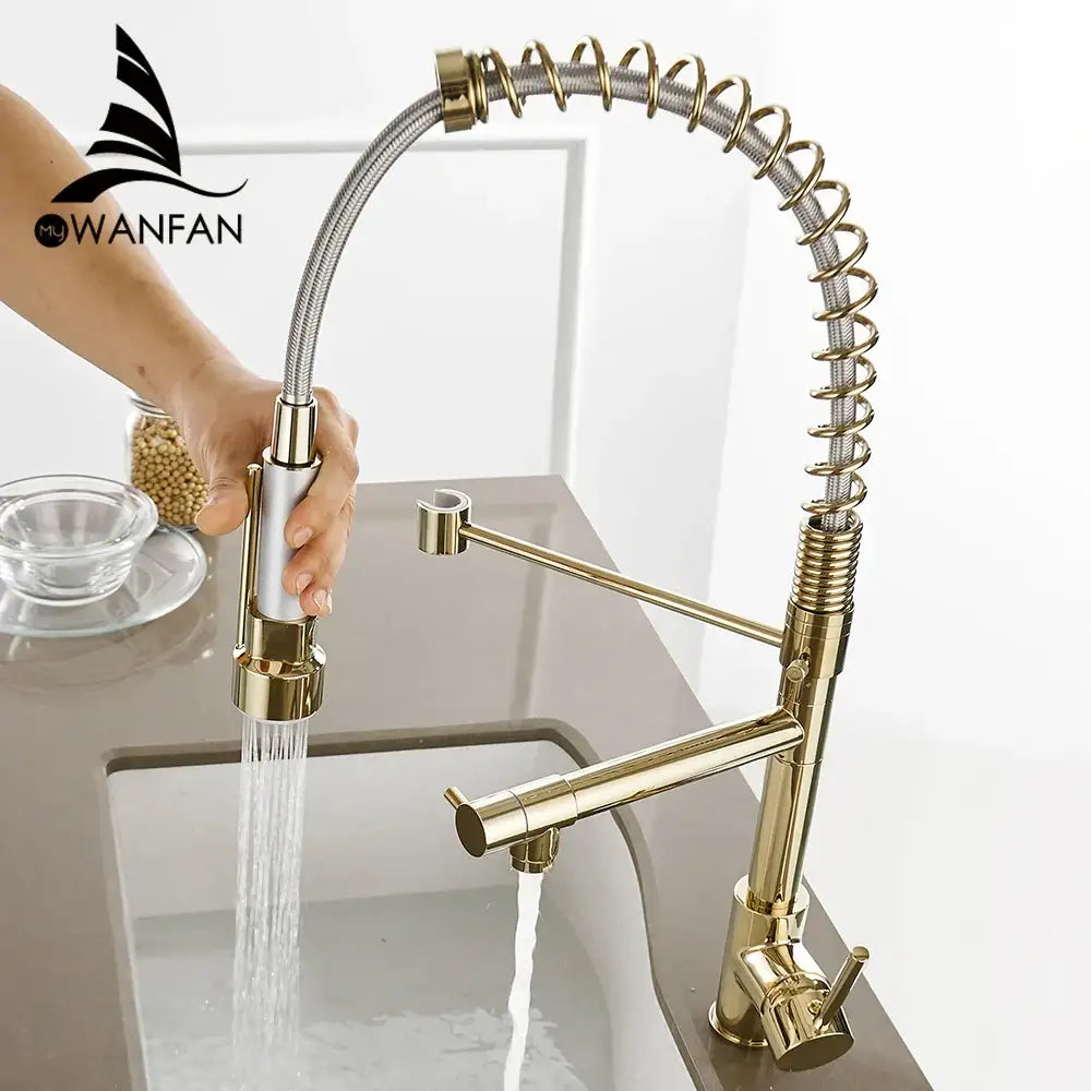 Modern gold spring spout kitchen faucet with pull out spray head