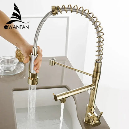 Modern gold spring spout kitchen faucet with pull out spray head