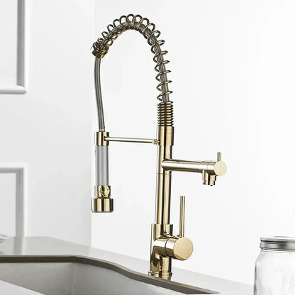 Modern gold spring spout kitchen faucet with pull out spray head