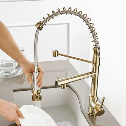 Modern gold spring spout kitchen faucet with pull out spray head