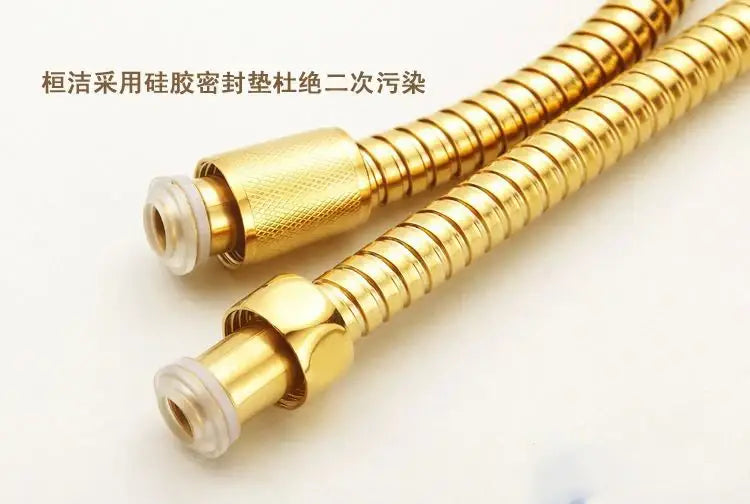 Modern gold stainless steel flexible shower hose bathroom replacement