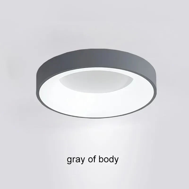 DecorBites™ Modern LED Ceiling Light for Home - Indoor Lighting