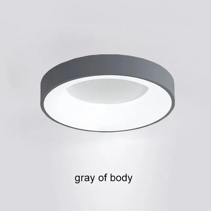 DecorBites™ Modern LED Ceiling Light for Home - Indoor Lighting