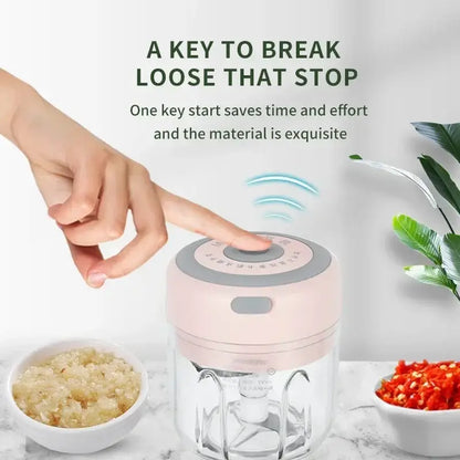 Modern light blue electric food chopper kitchen garlic masher
