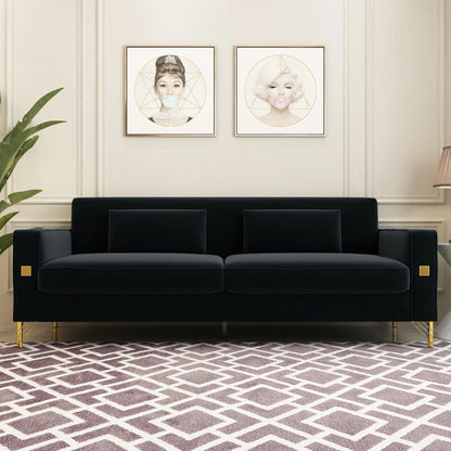 Modern Loveseat Sofa with Pillows