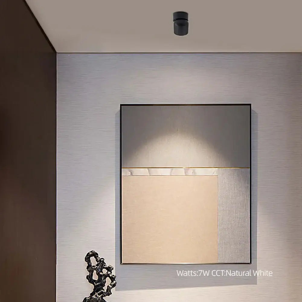 Modern matte black adjustable angle led downlight living room spotlight