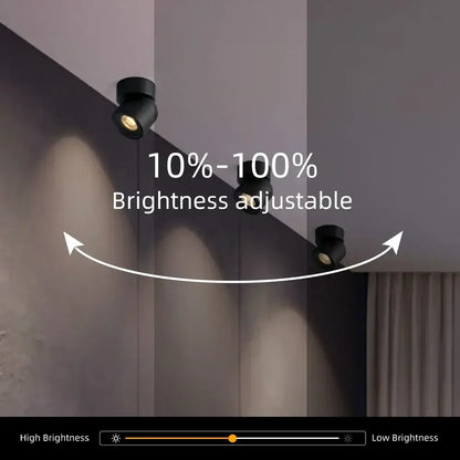 Modern matte black adjustable angle led downlight living room spotlight
