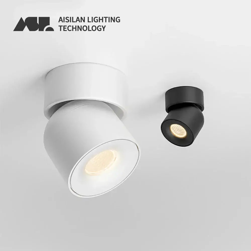 Modern matte black adjustable angle led downlight living room spotlight
