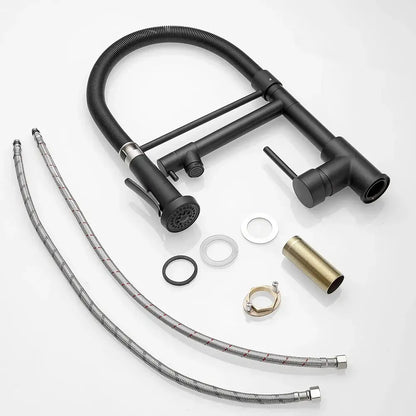 Modern matte black and brushed nickel spring kitchen faucet