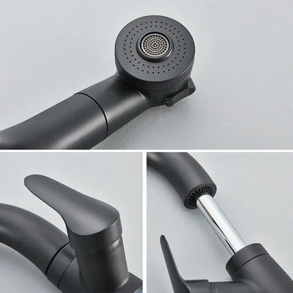 Modern matte black basin faucet with chrome accents for kitchen