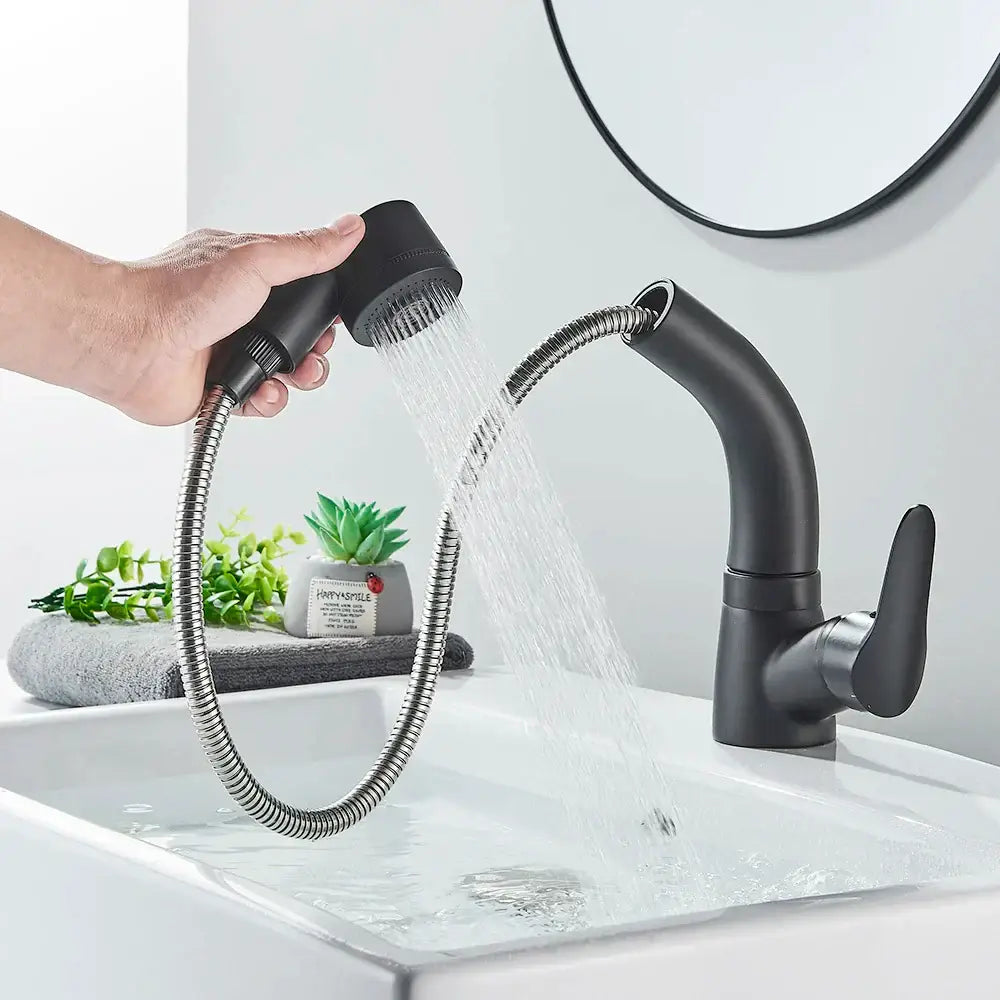 Modern matte black basin faucet with chrome accents for kitchen