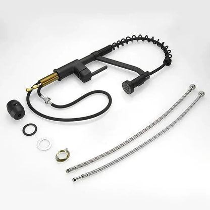 Modern matte black brass kitchen faucet with pull down sprayer