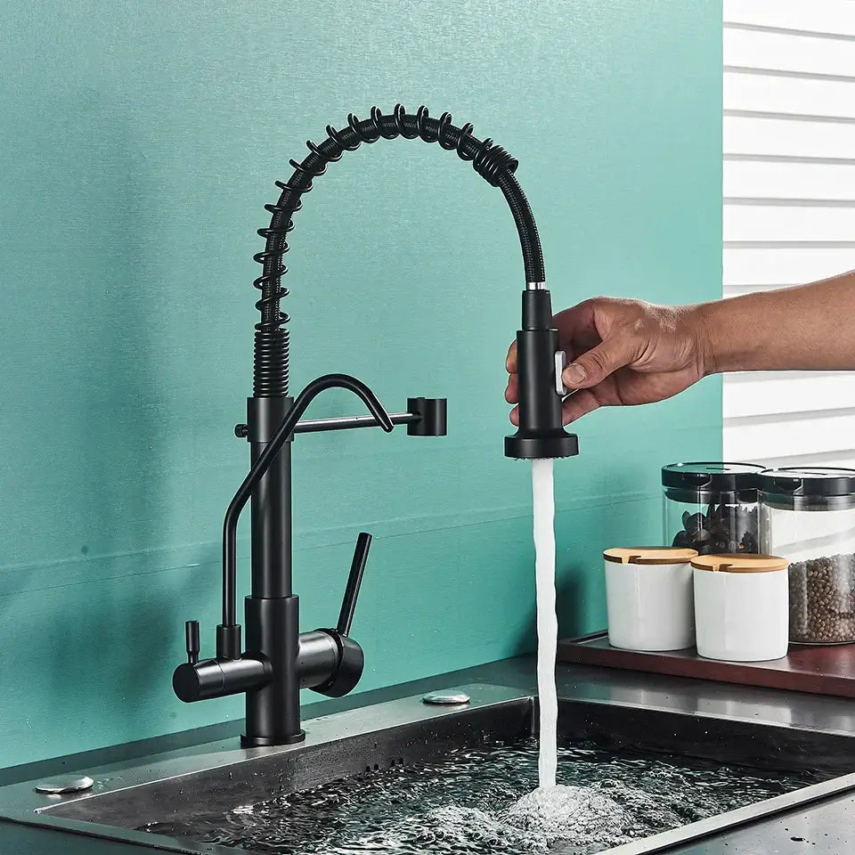 Modern matte black dual handle kitchen faucet with purification spout