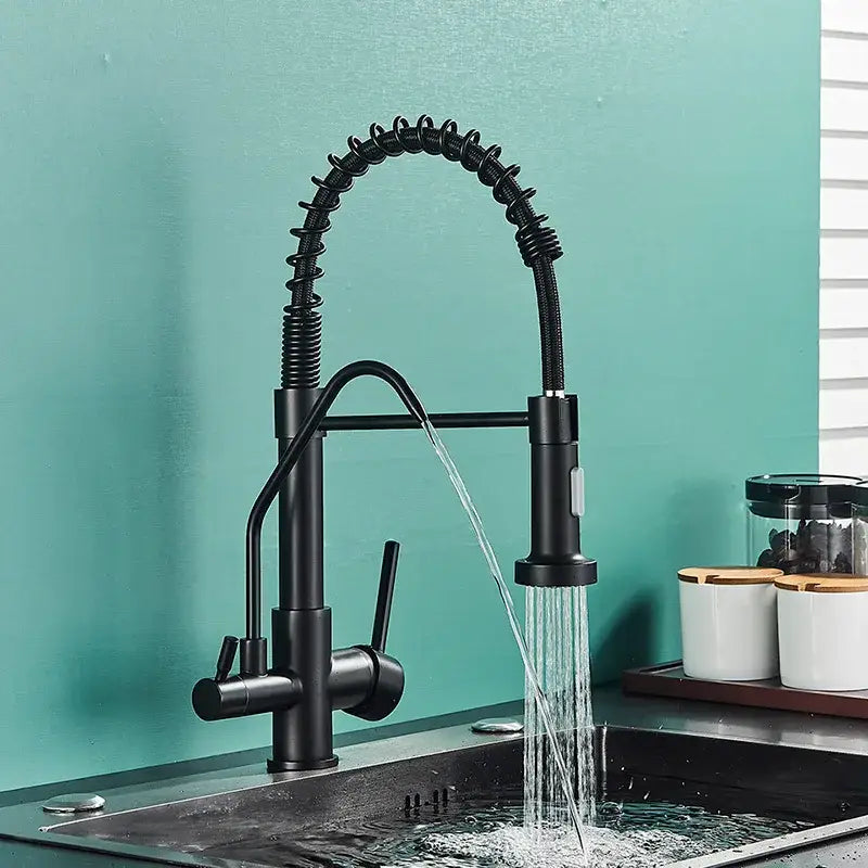 Modern matte black dual handle kitchen faucet with purification spout