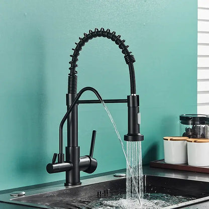 Modern matte black dual handle kitchen faucet with purification spout