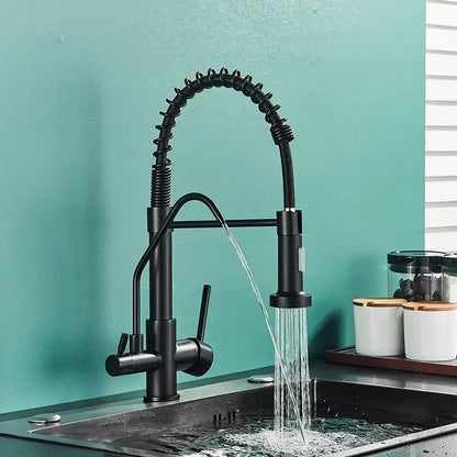 Modern matte black dual handle kitchen faucet with purification spout