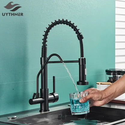 Modern matte black dual handle kitchen faucet with purification spout