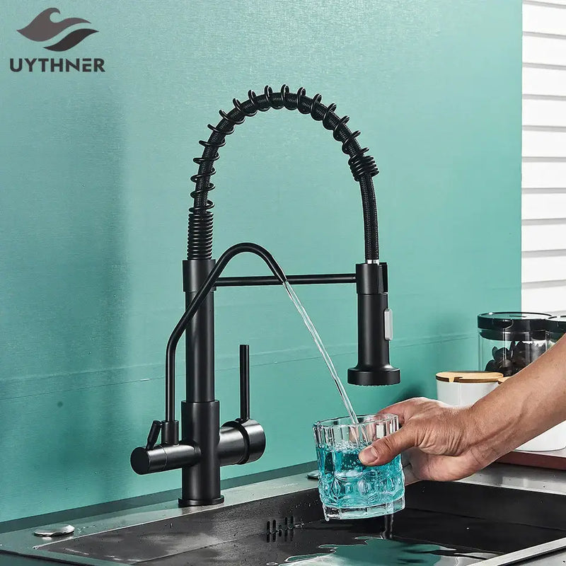 Modern matte black dual handle kitchen faucet with purification spout