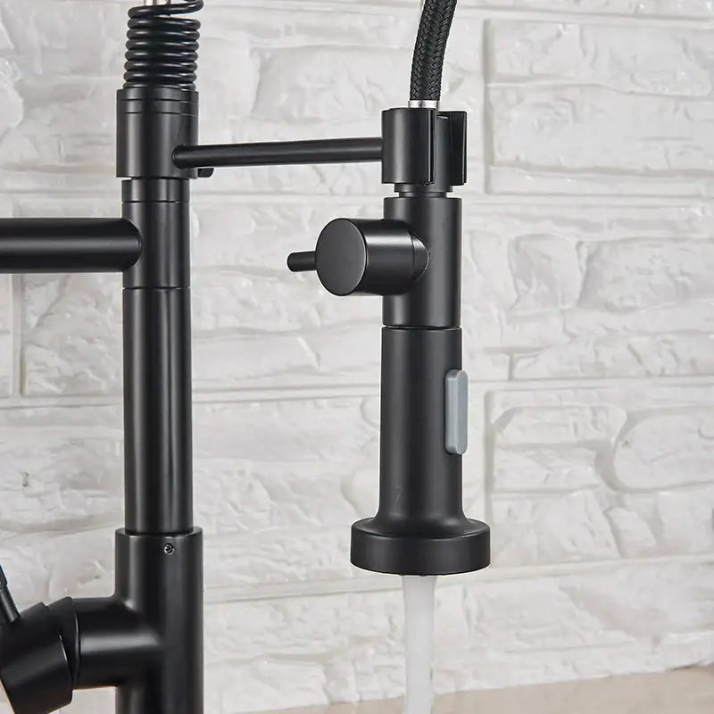 Modern matte black dual spout kitchen sink faucet with spring hose