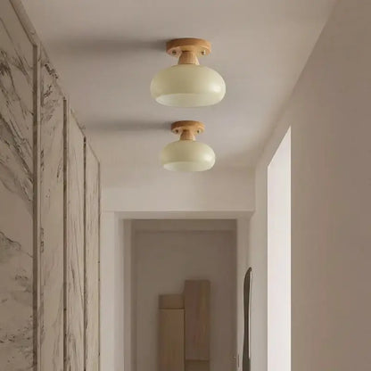Modern matte dome ceiling lamp with led wood canopy living room