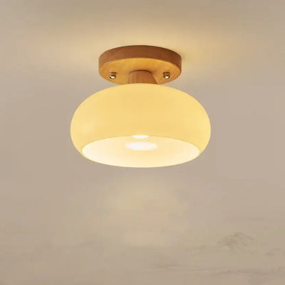 Modern matte dome ceiling lamp with led wood canopy living room