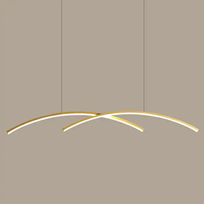 Modern minimalist metal line art hanging light dining room