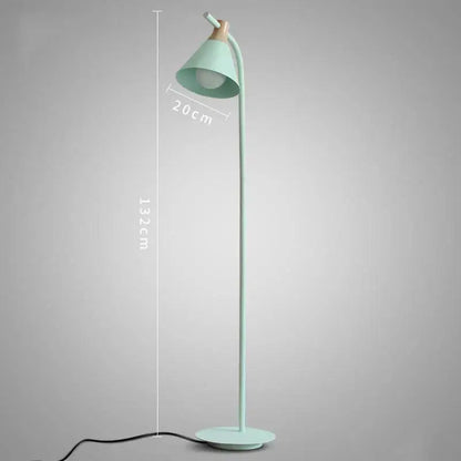 Modern pastel iron macaron floor lamp for living room wood accents