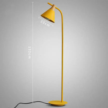 Modern pastel iron macaron floor lamp for living room wood accents