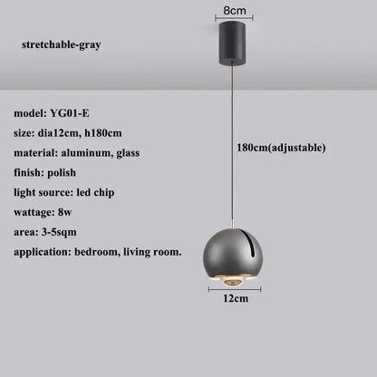 Modern polished metallic adjustable angle pendant light dining room
