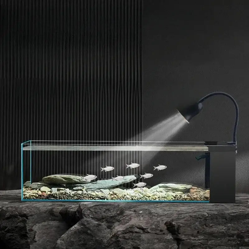 Modern rectangular glass betta fish tank with lamp for living room