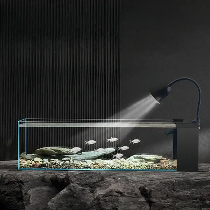 Modern rectangular glass betta fish tank with lamp for living room