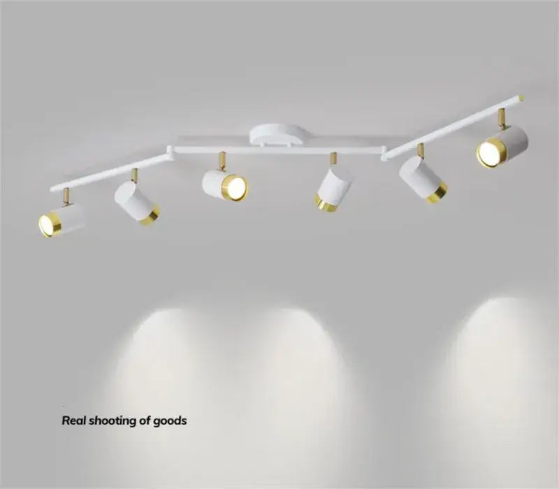 Modern white & gold ceiling chandelier living room spotlight