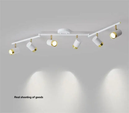 Modern white & gold ceiling chandelier living room spotlight